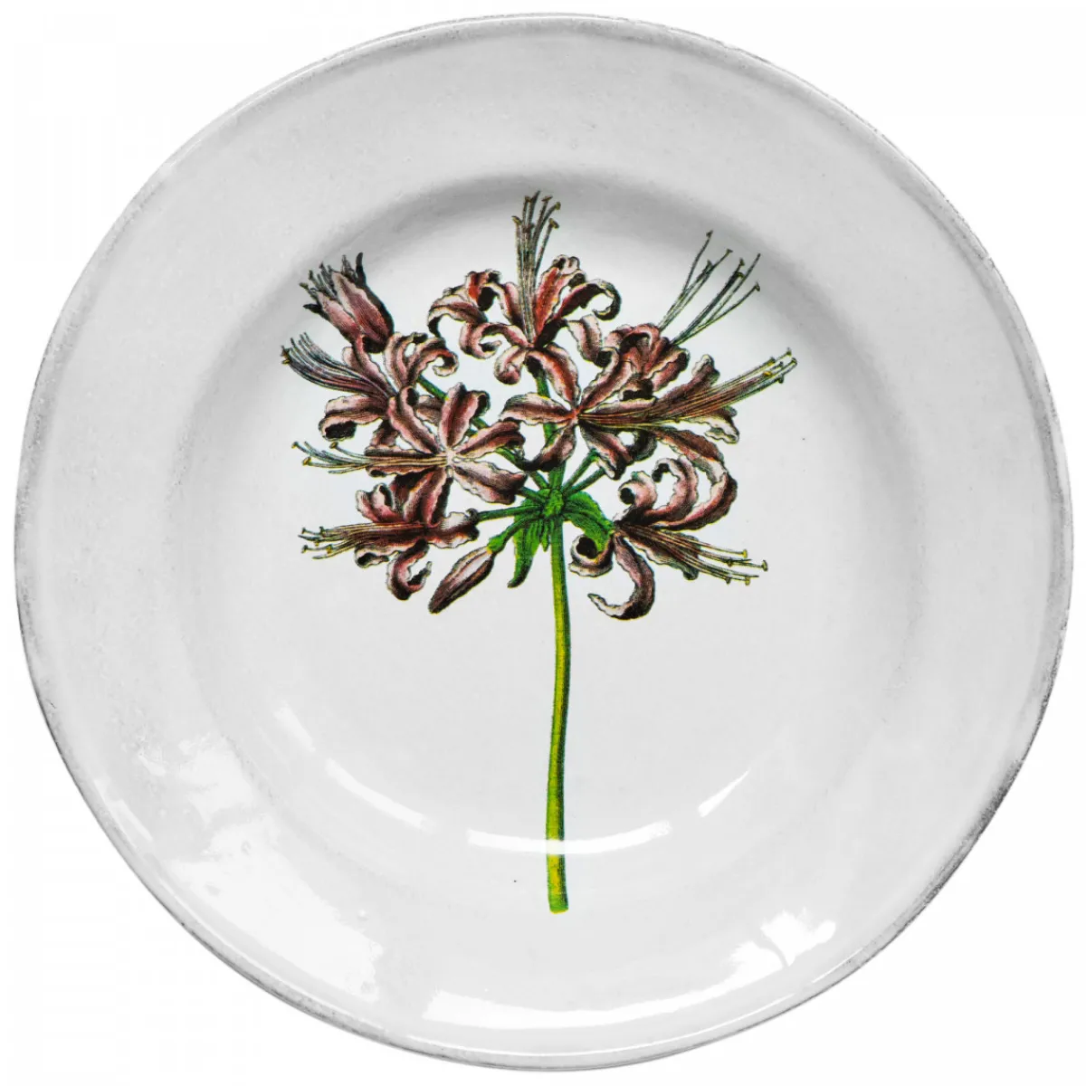 Astier de Villatte Plates<Guernfey Lilly Soup Plate