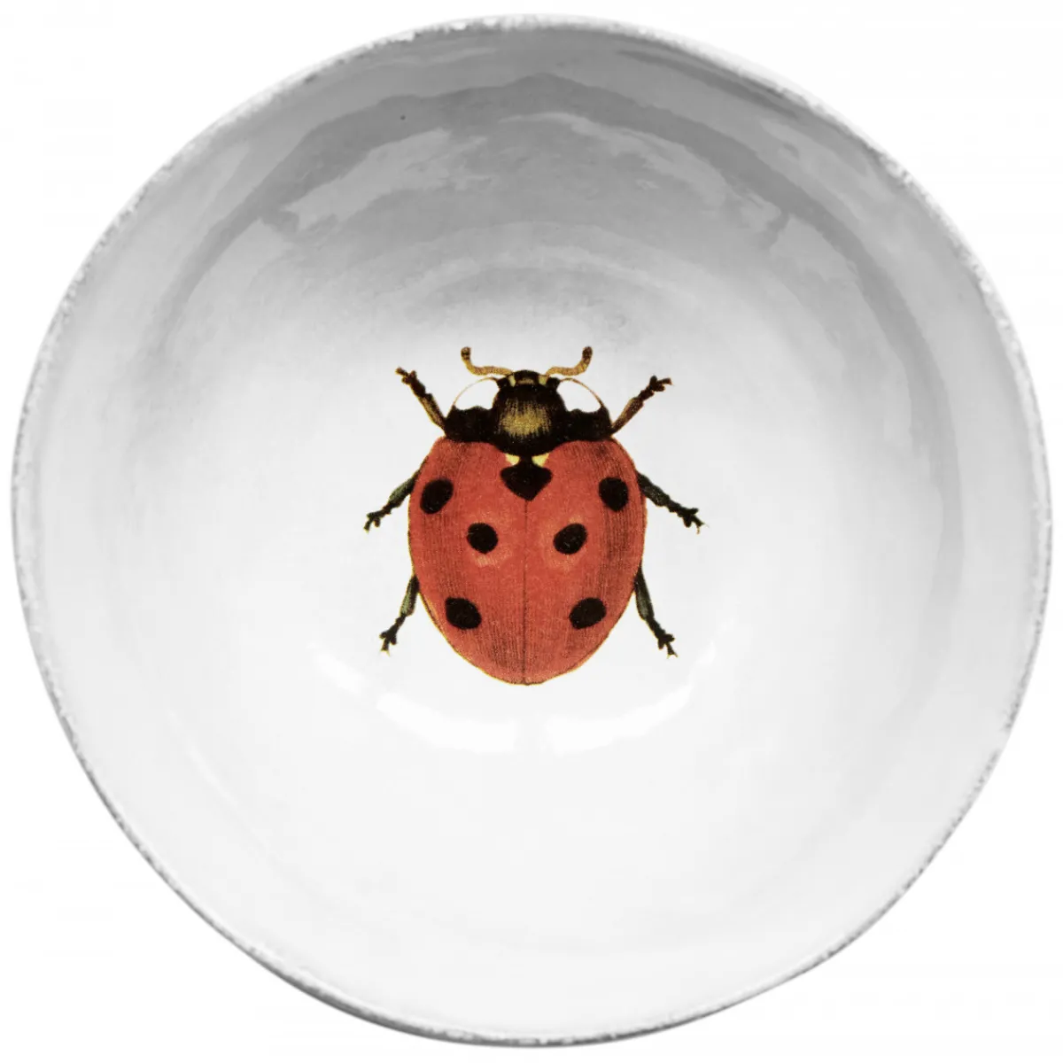 Astier de Villatte Plates<Ladybird Soup Plate