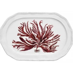 Astier de Villatte Platters/Salad Bowls & Stands<Red Seaweed Platter